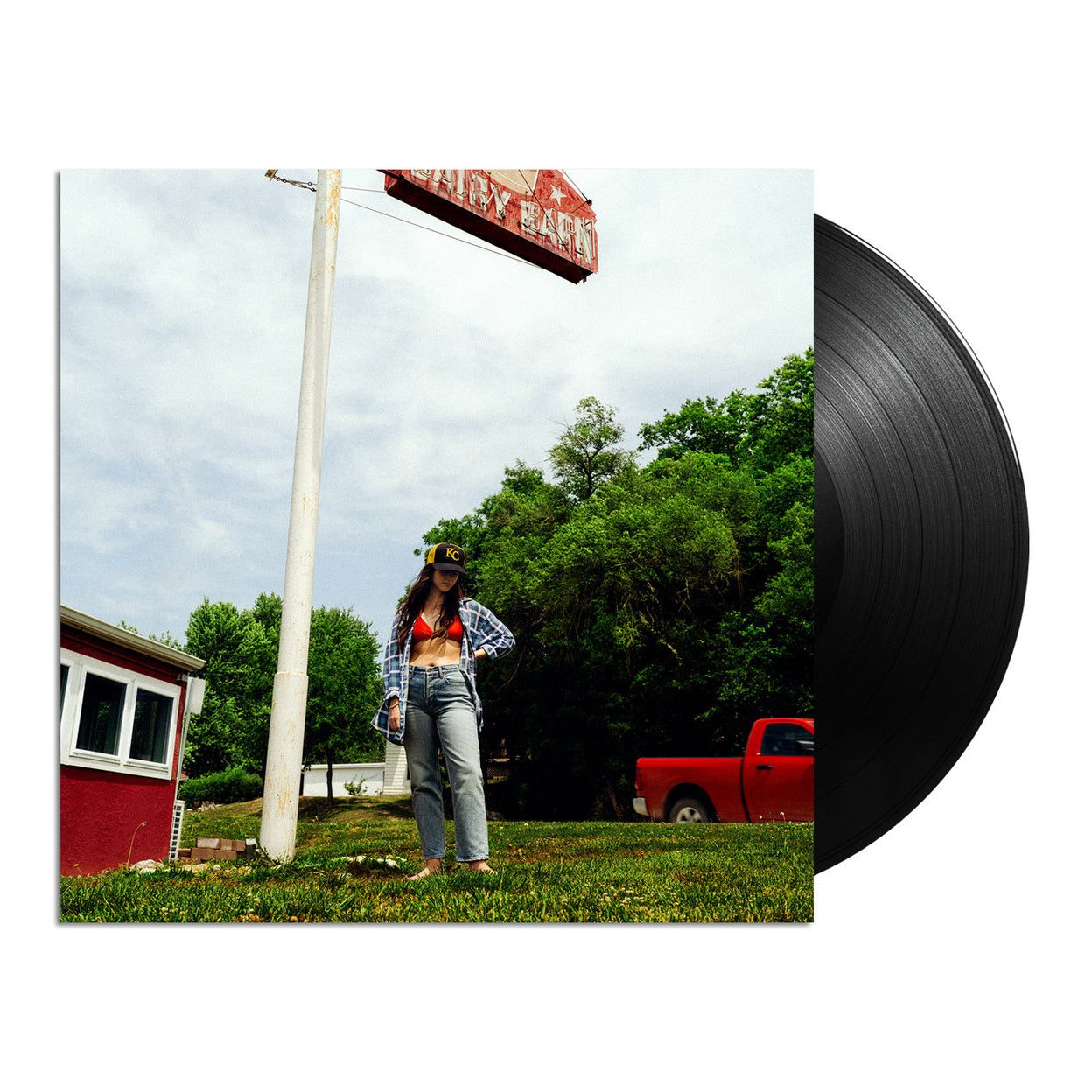 Tigers Blood: Vinyl LP + Signed Print - Image 2