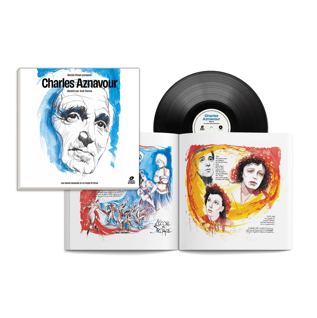 Vinyl Story: Vinyl LP