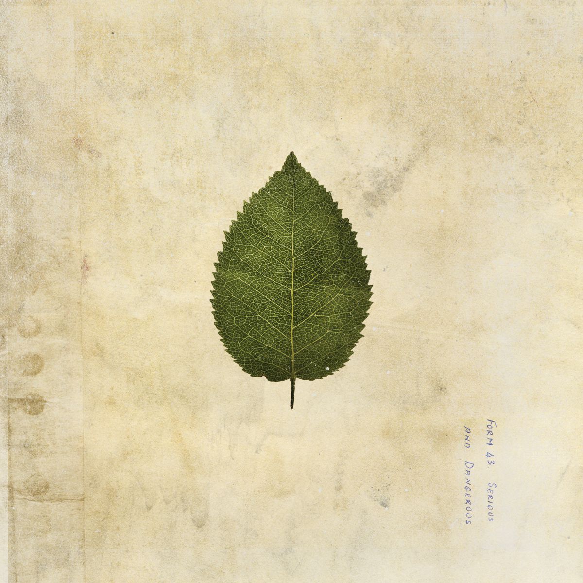 The Cold Still: Limited Army Green Vinyl LP - Image 2