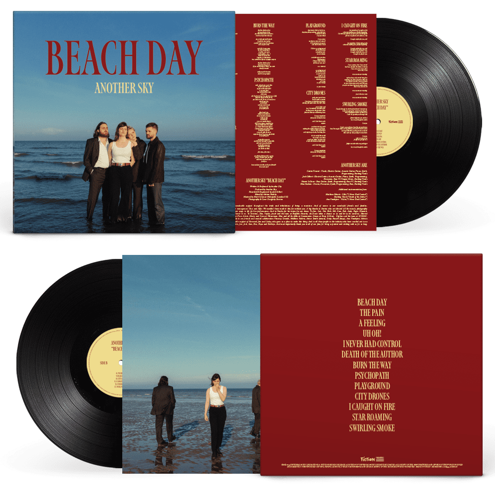 Beach Day: Vinyl LP - Image 2