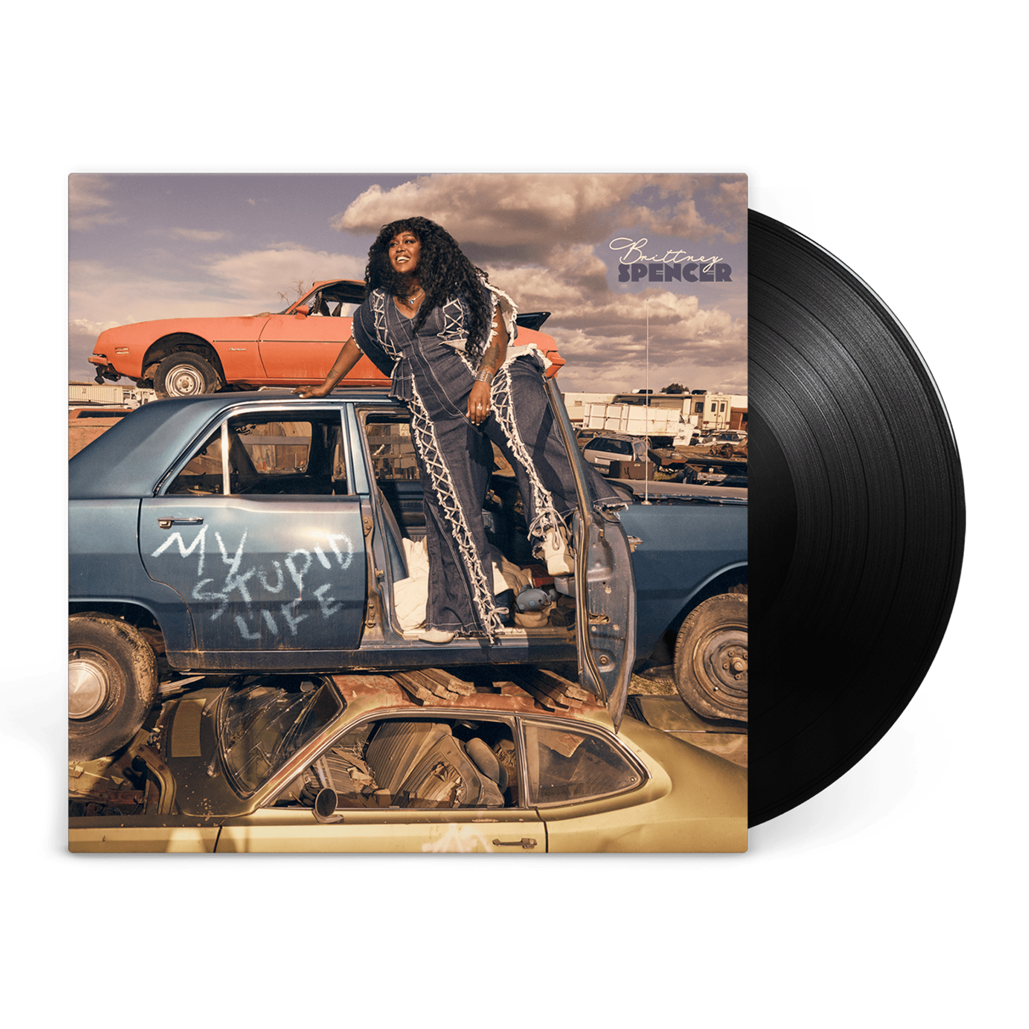 My Stupid Life: Vinyl LP