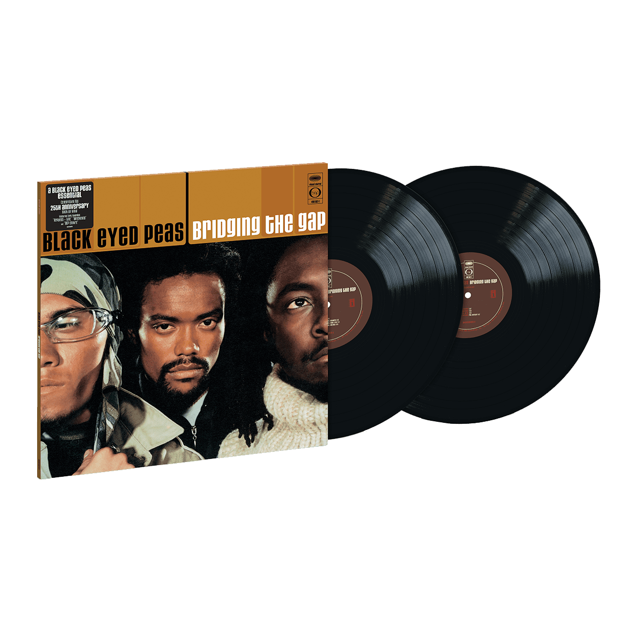 Bridging The Gap: Vinyl 2LP