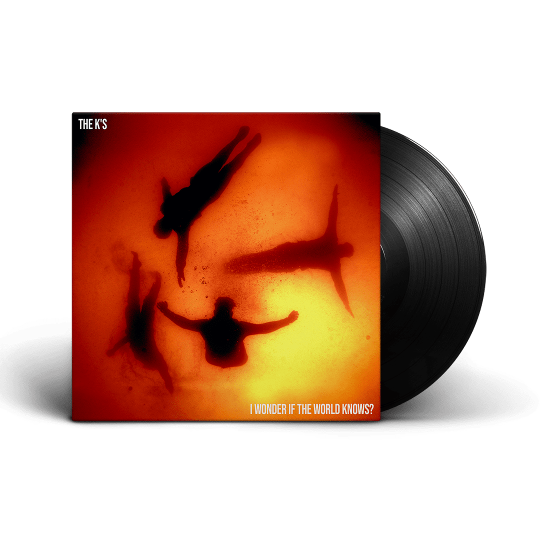 I Wonder If The World Knows?: Vinyl LP