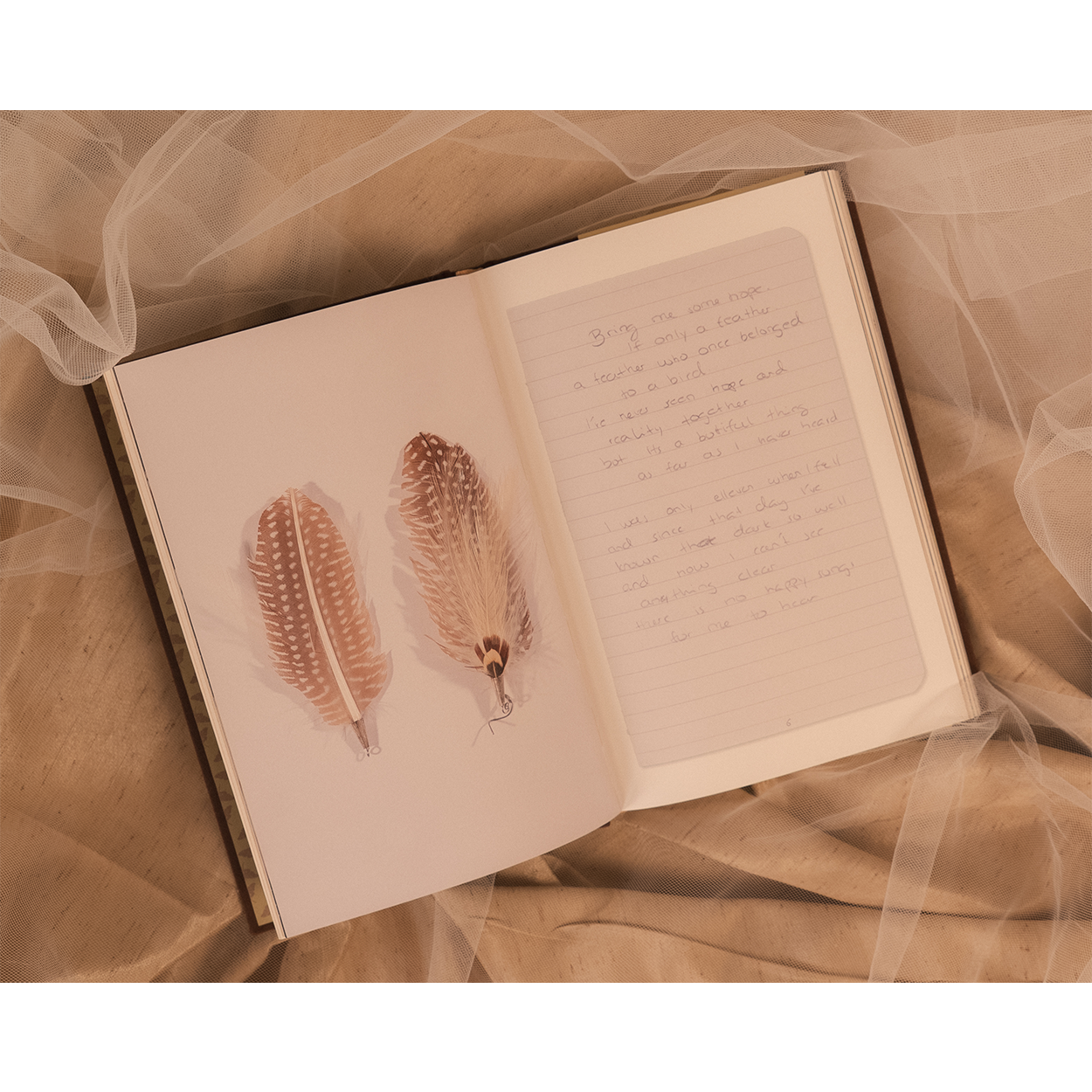 All My Demons Greeting Me as a Friend Book - Image 5