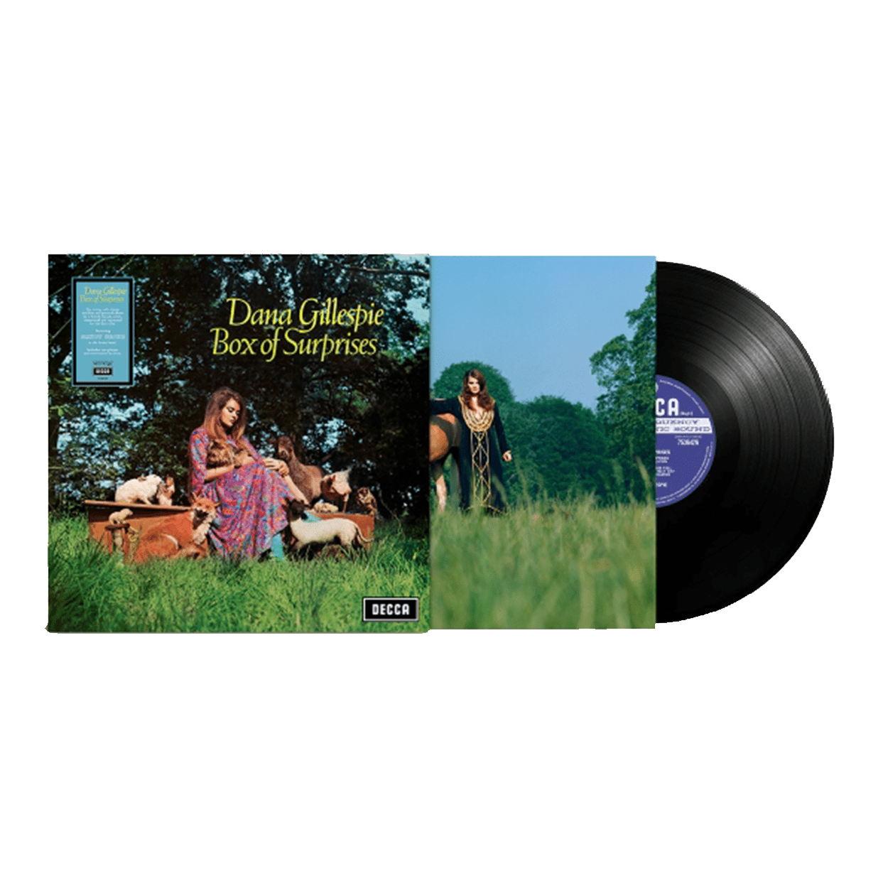 Box Of Surprises (RSD25): Vinyl LP