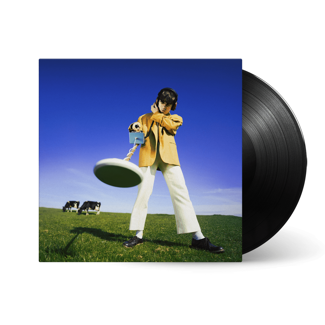 What Happened to the Beach? Vinyl LP