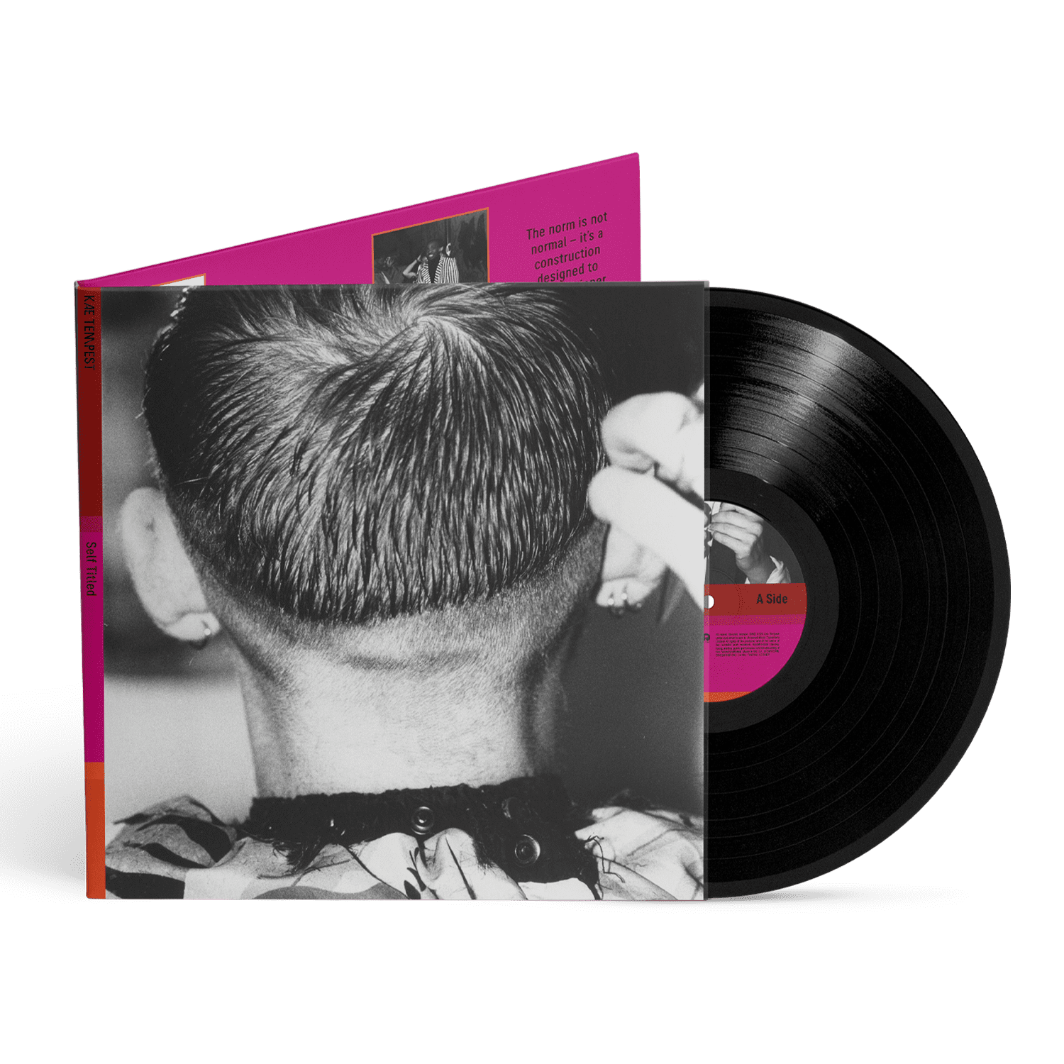 Self Titled: Recycled Black LP