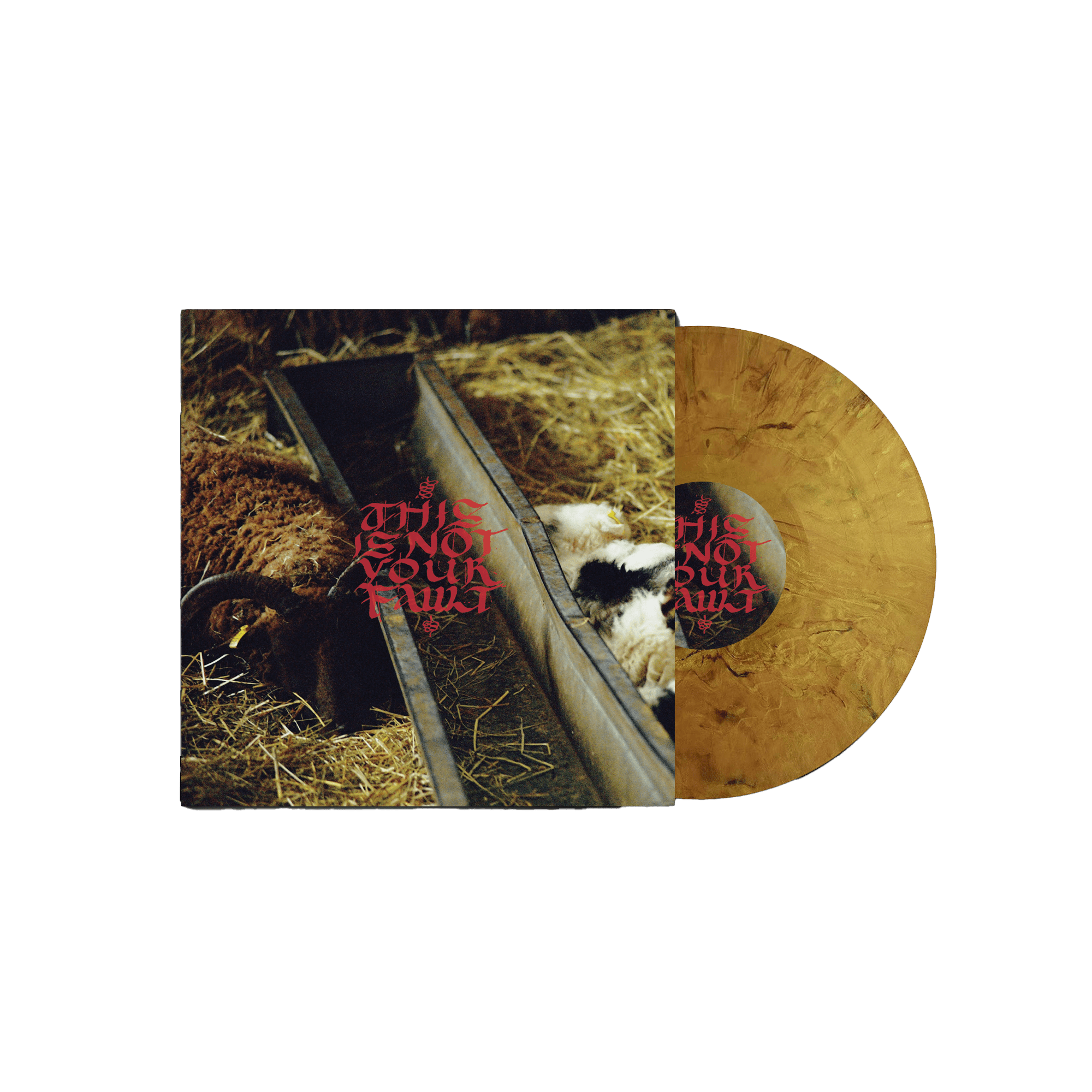 This Is Not Your Fault: Limited Marbled Gold Vinyl LP