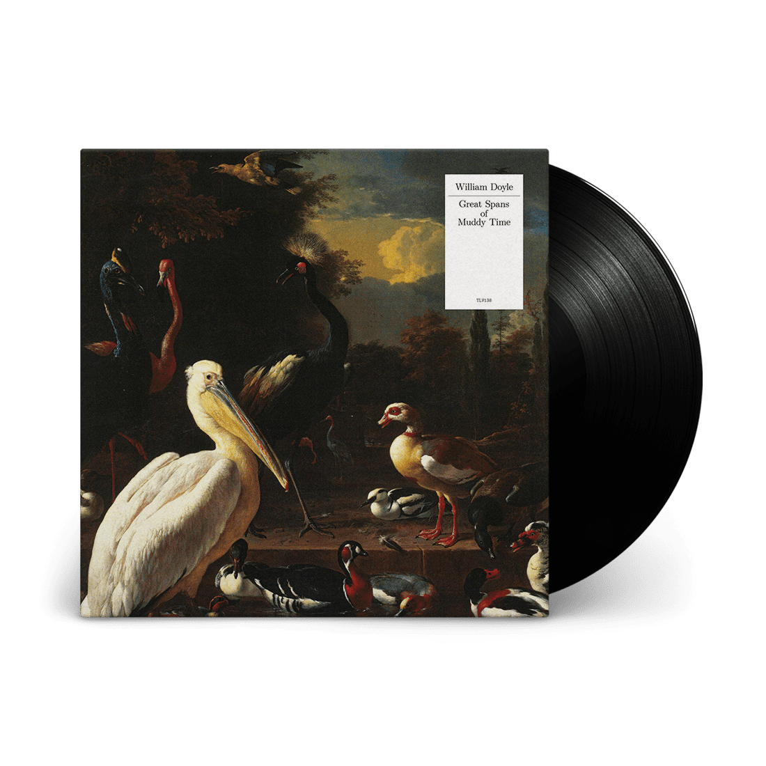 Great Spans of Muddy Time: Vinyl LP