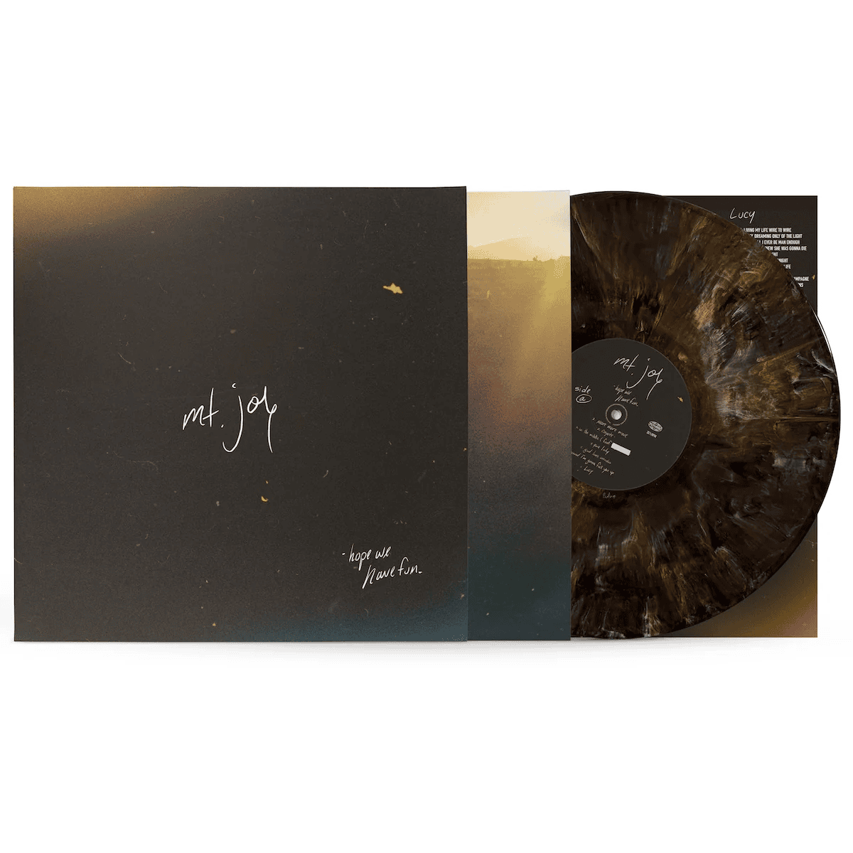 Hope We Have Fun: Limited Coyote Brown Vinyl LP