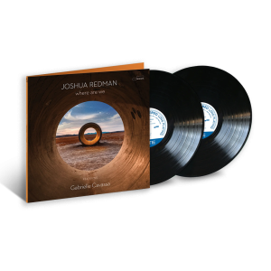 Where Are We: Vinyl 2LP.