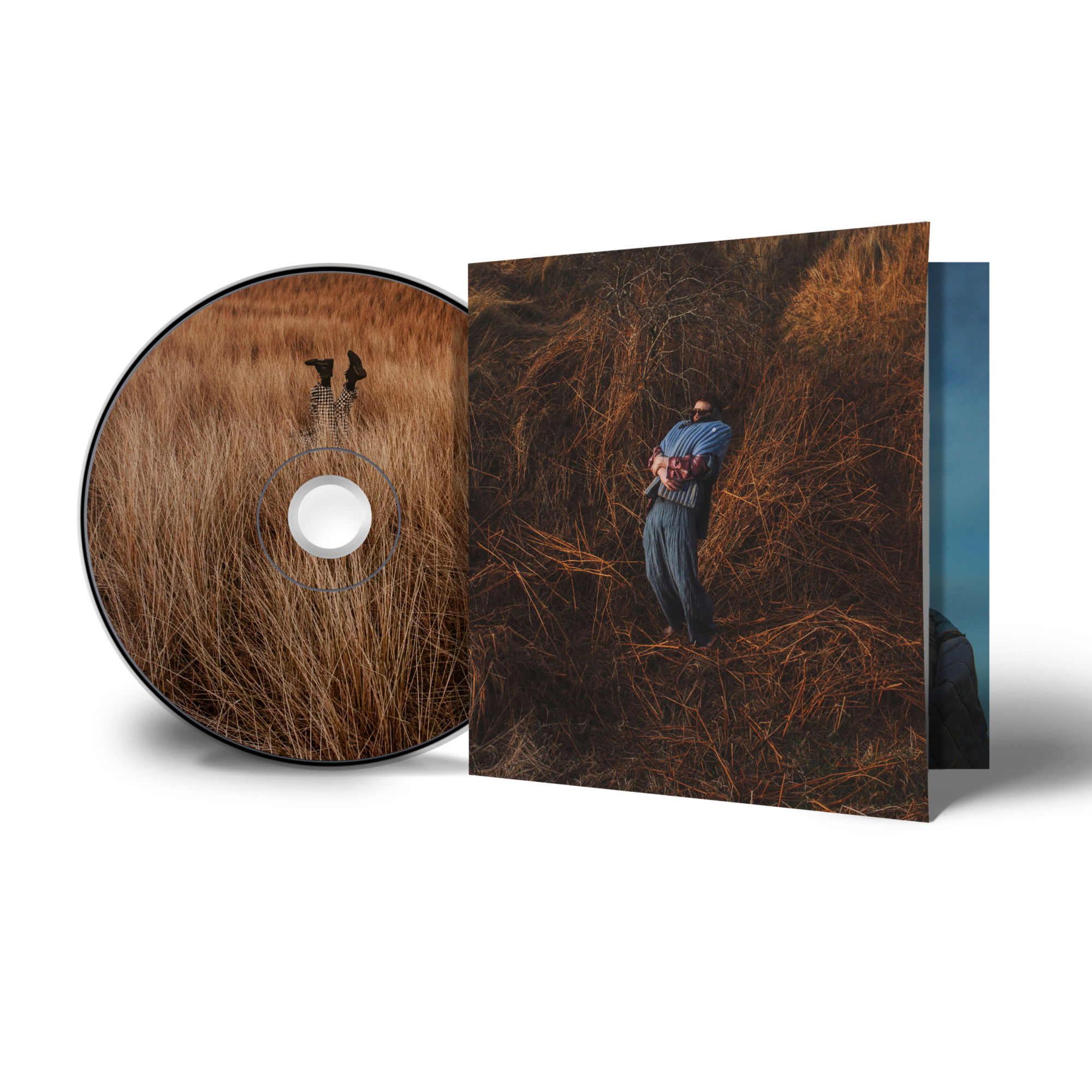 Pillars: CD