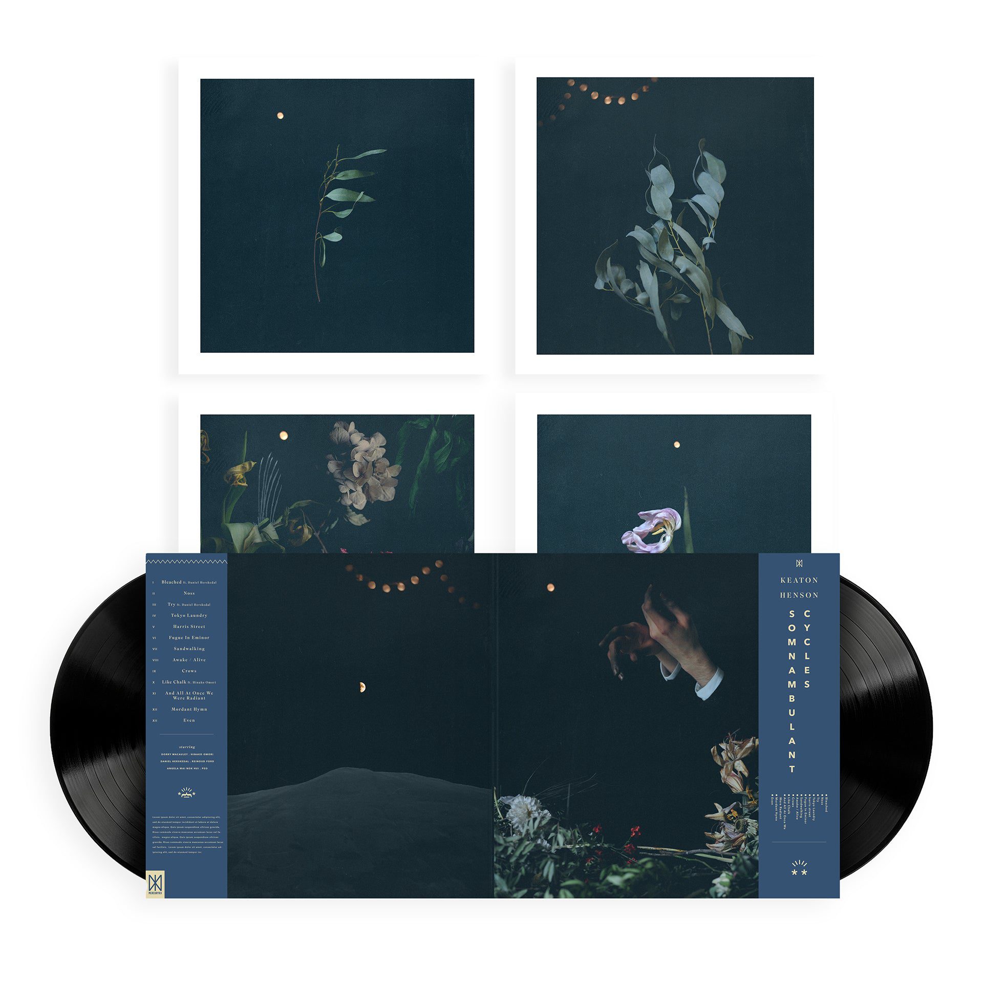 Somnambulant Cycles Vinyl LP + Signed Art Print - Image 5