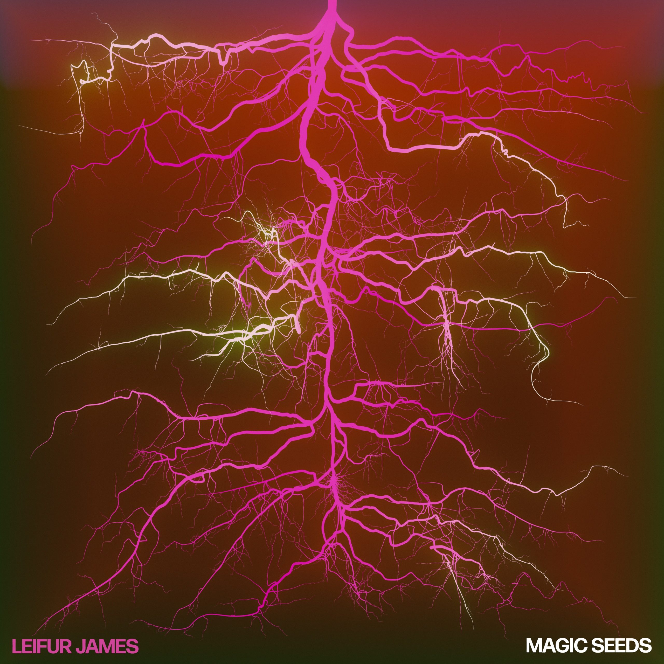 Magic Seeds: Vinyl LP - Image 2