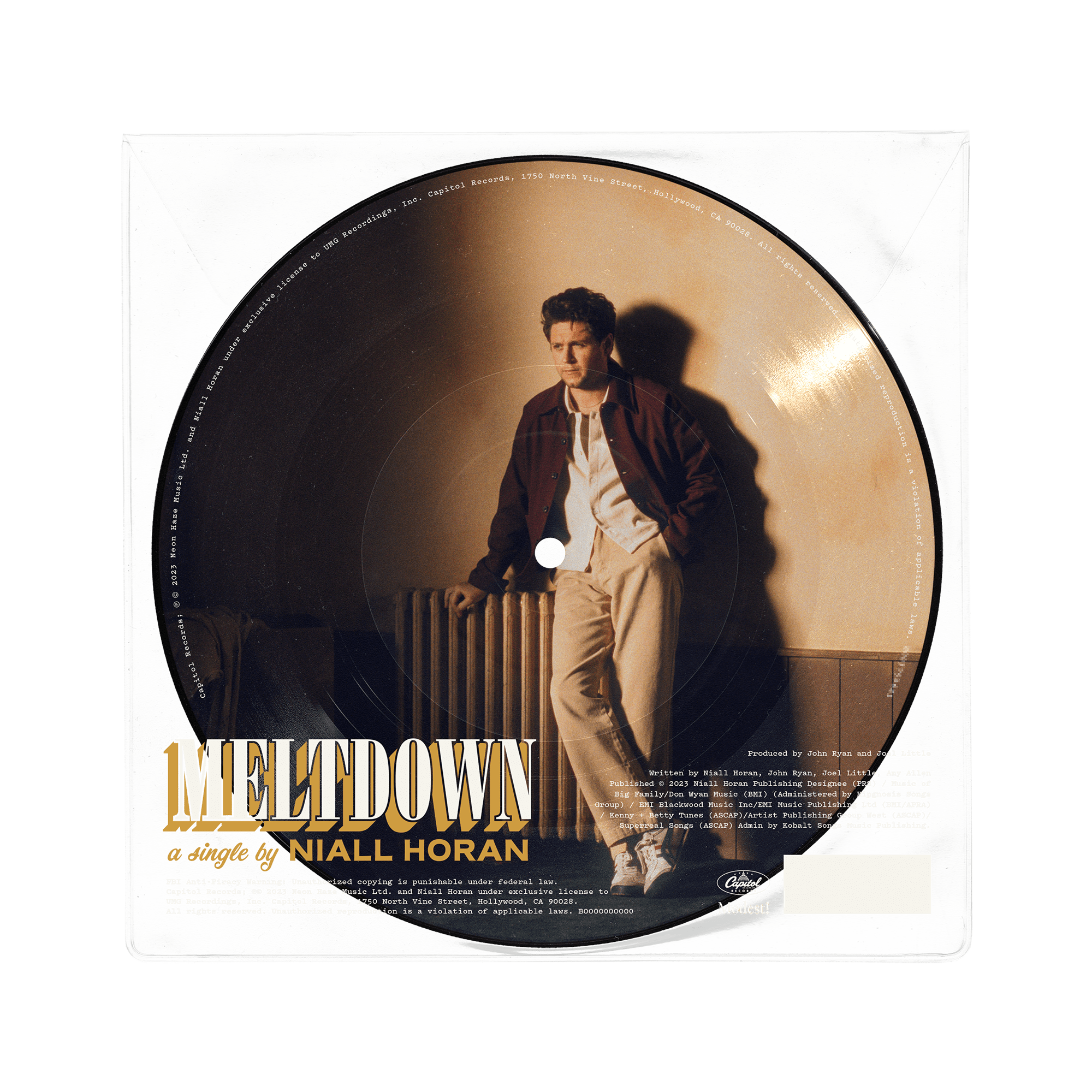 Meltdown: Limited Picture Disc Vinyl 7" Single