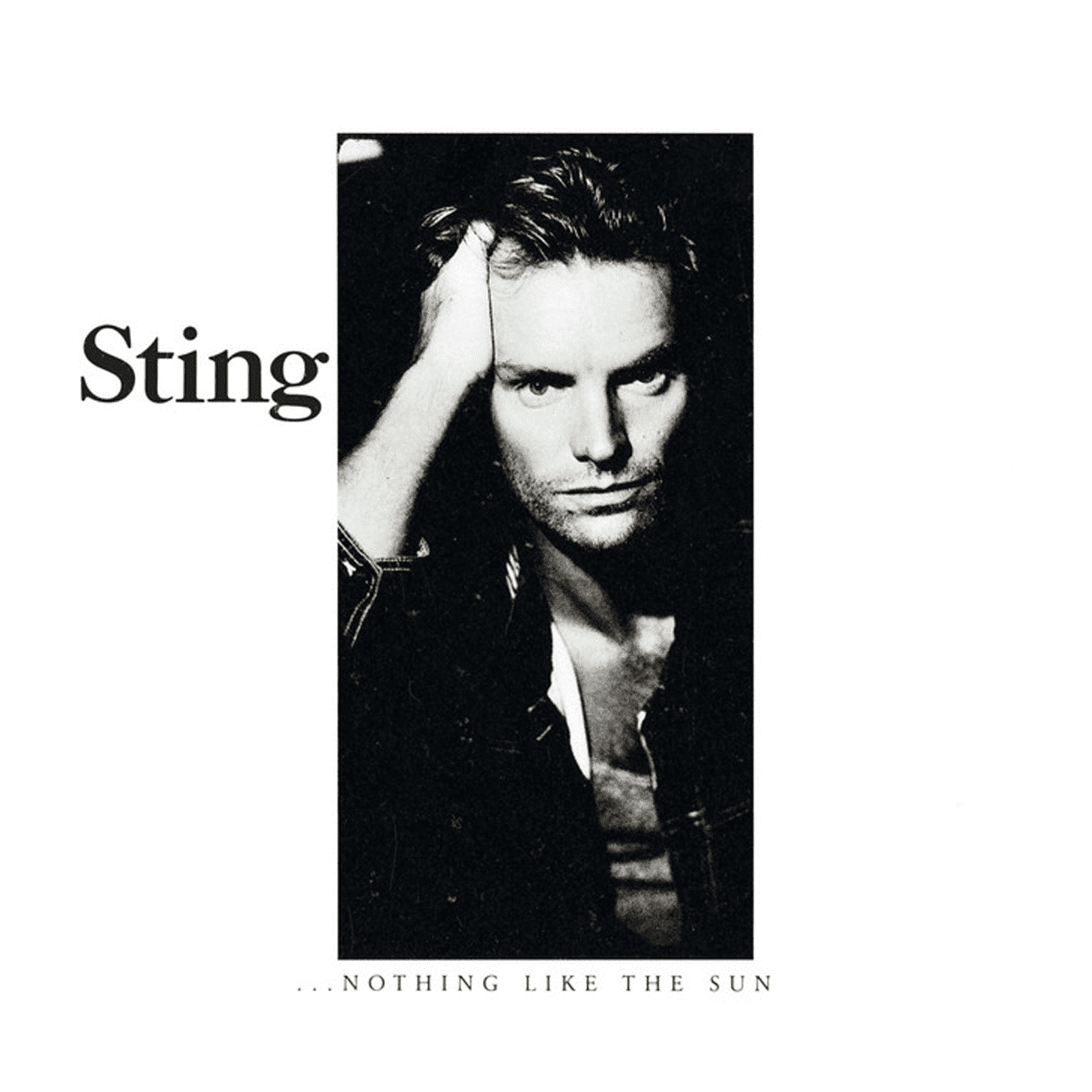 Nothing Like The Sun: CD