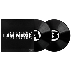 MUSIC: Vinyl 2LP