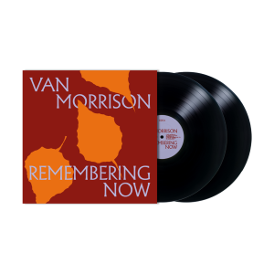 Remembering Now: Vinyl 2LP