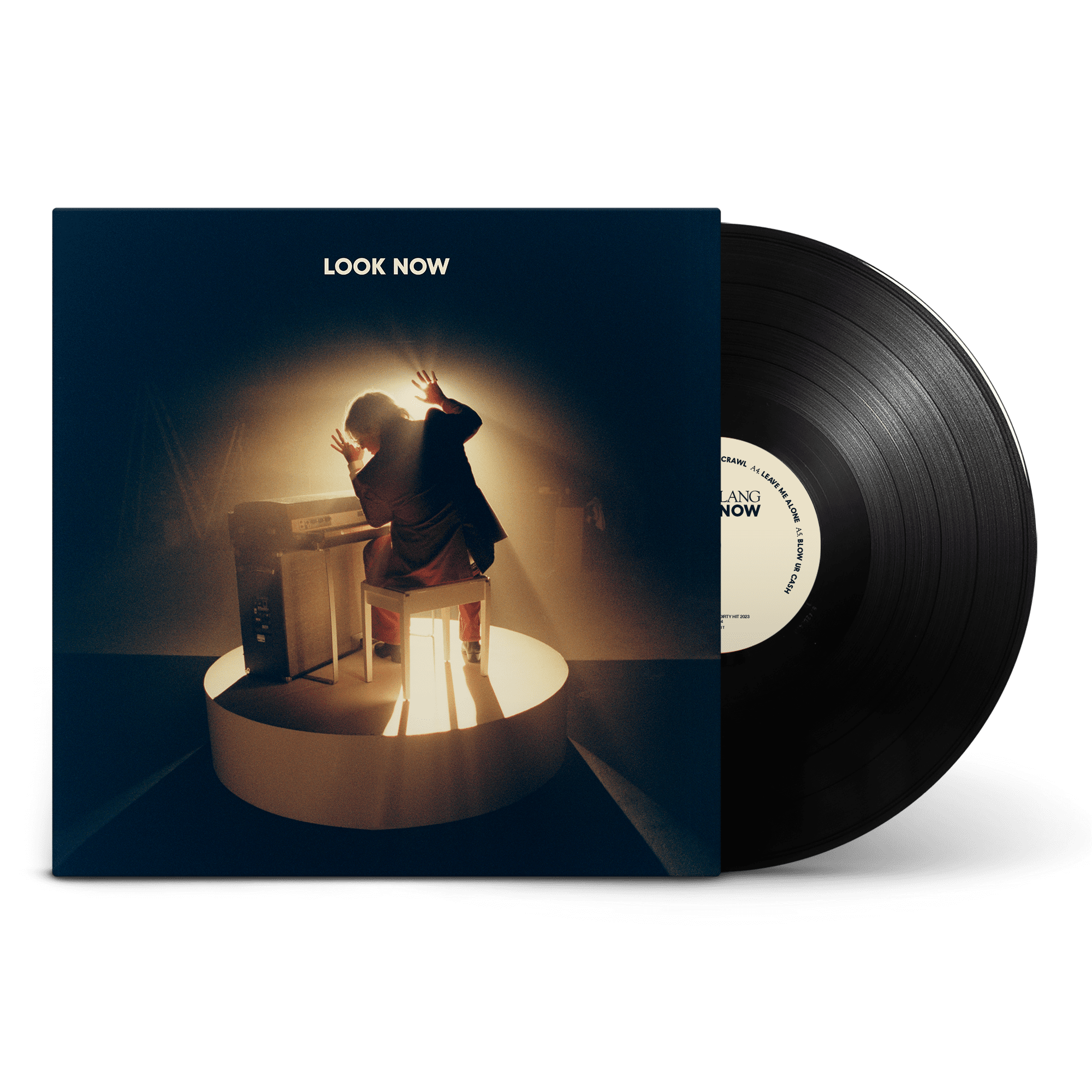 Look Now: Vinyl LP