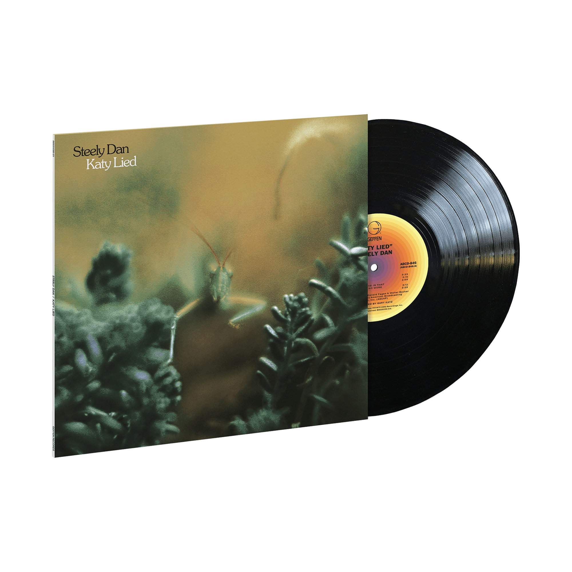 Katy Lied: Vinyl LP