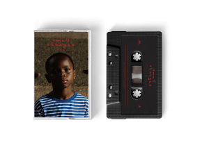 Small Changes Store Exclusive Cassette
