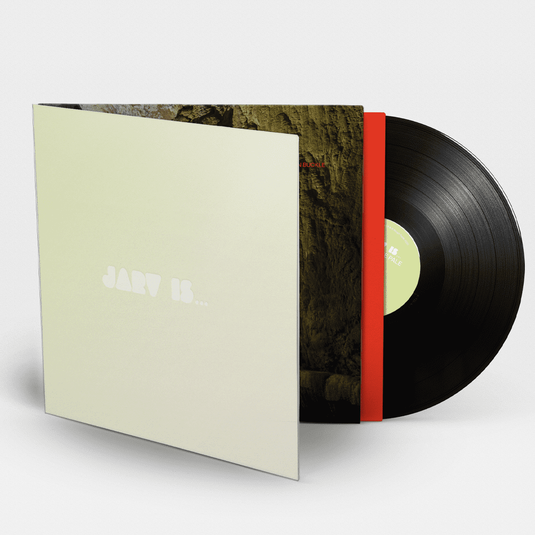 Beyond The Pale: Vinyl LP