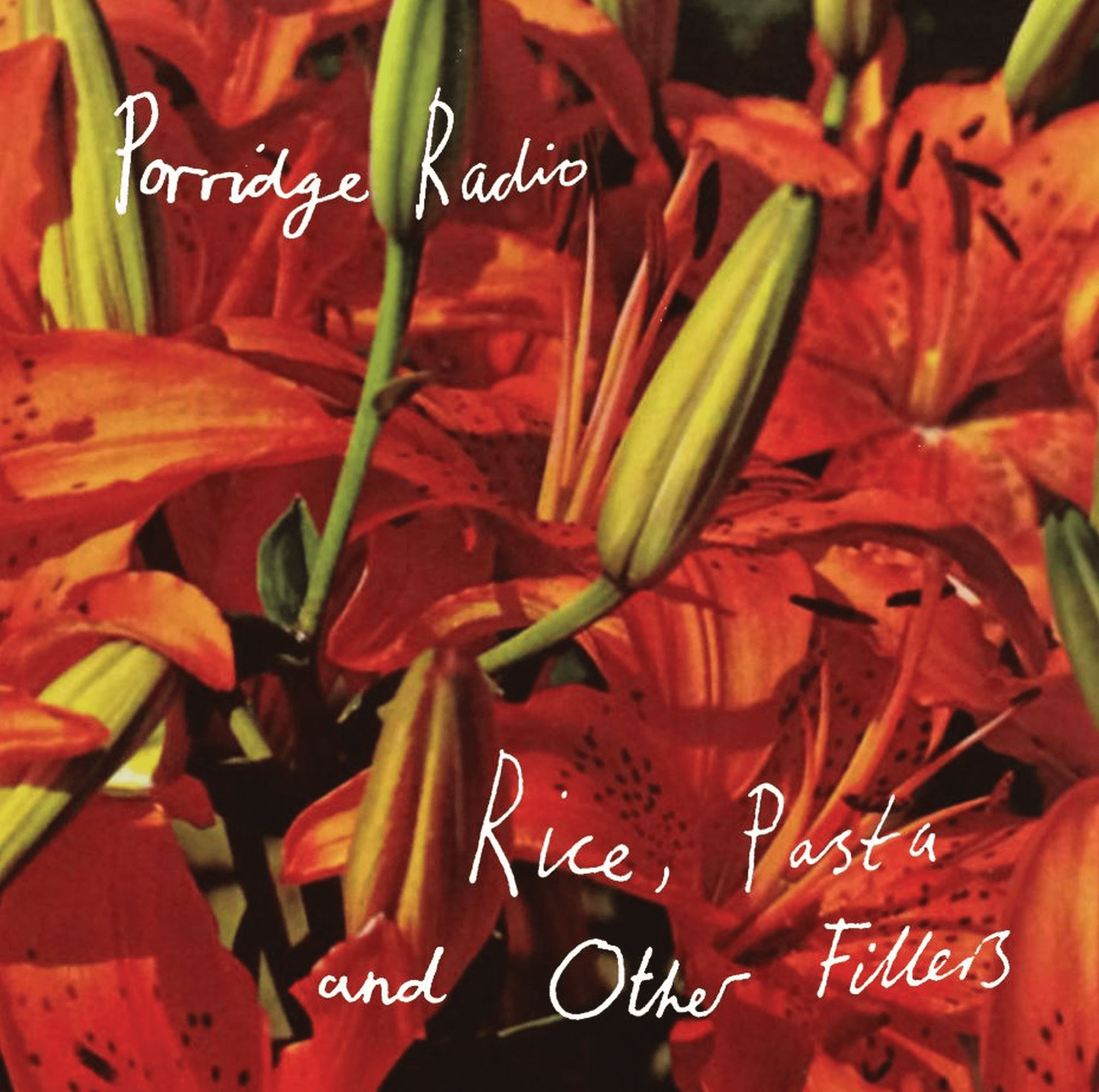 Rice, Pasta and Other Fillers Memorials of Distinction: Vinyl LP