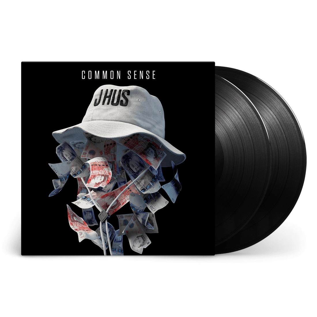 Common Sense: Vinyl 2LP