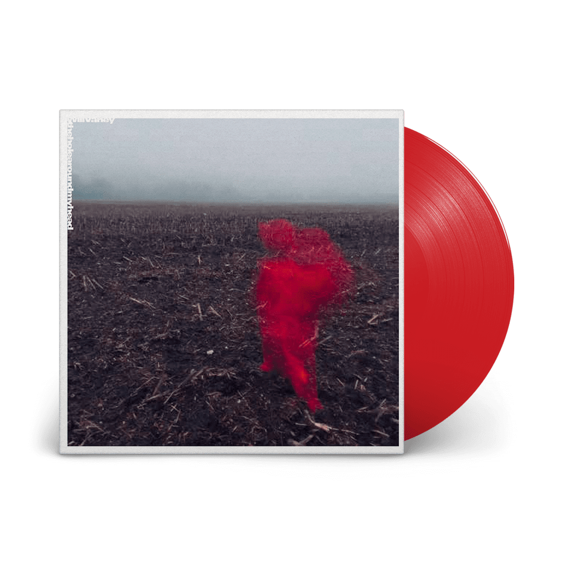 The Hole Around My Head: Limited Edition Red Vinyl LP