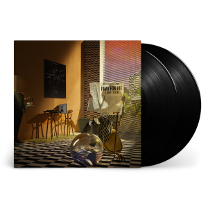 Pray For Me I Don’t Fit In: Vinyl 2LP