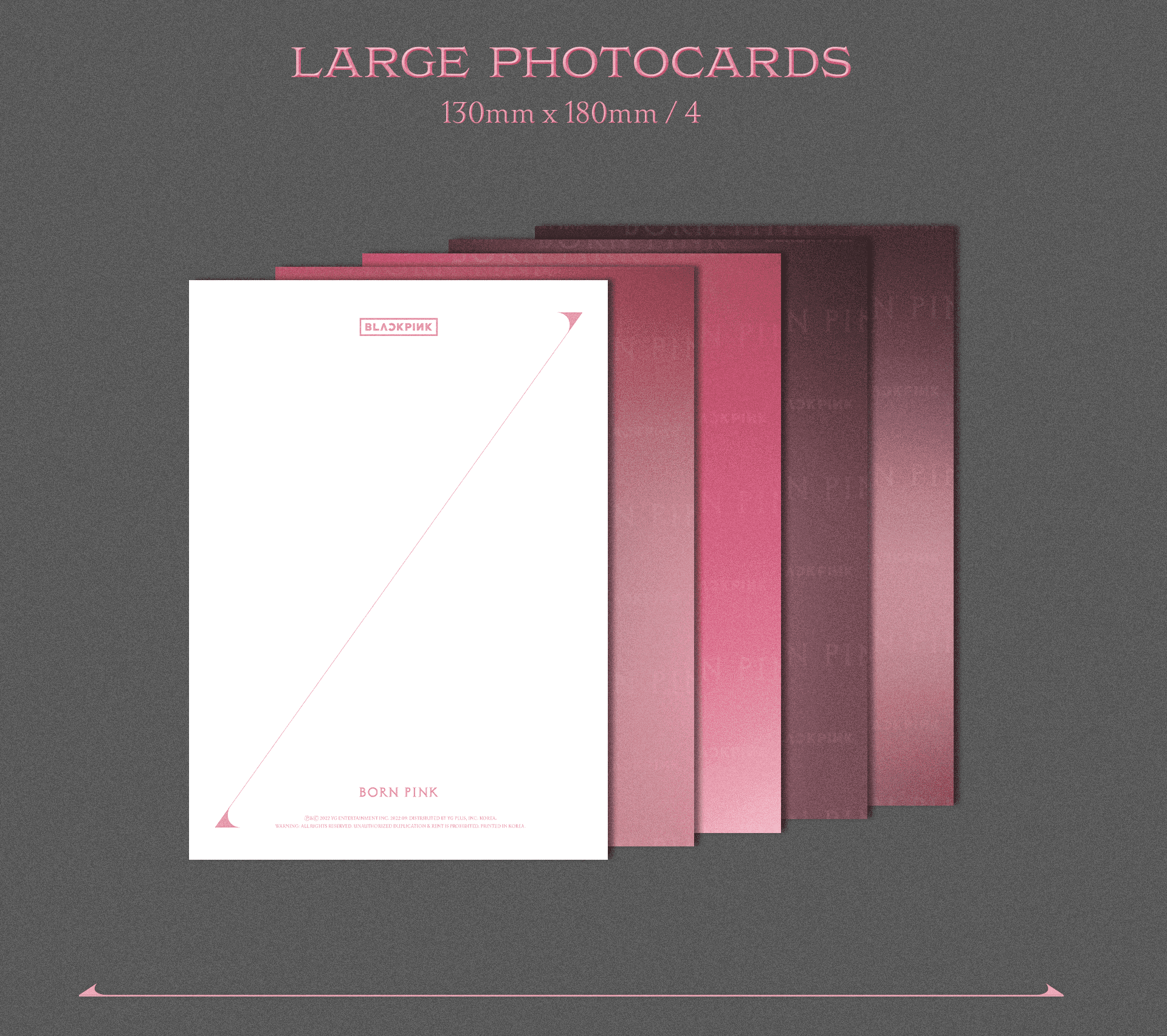 BORN PINK: Exclusive Box Set (Pink Complete Edition) - Image 6