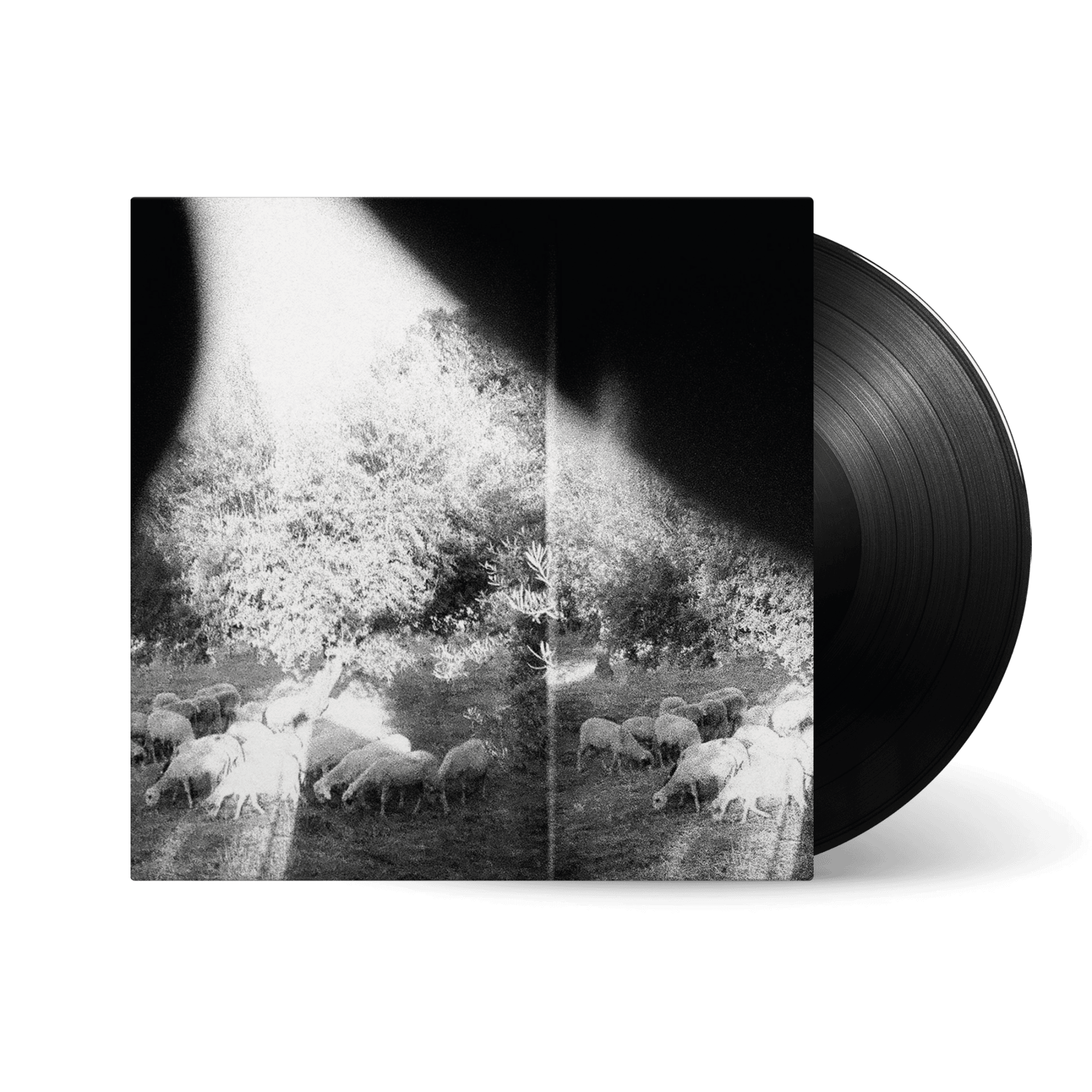 Asunder, Sweet And Other Distress: Vinyl LP