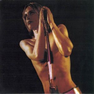 Raw Power: Vinyl LP