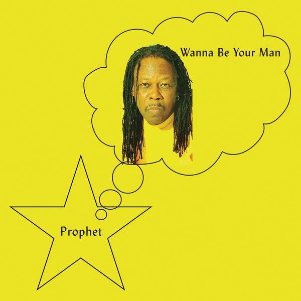 Wanna Be Your Man: Vinyl LP