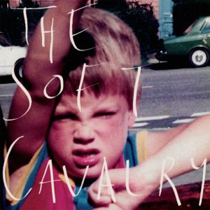 The Soft Cavalry: Limited Edition Blue and Yellow Vinyl 2LP