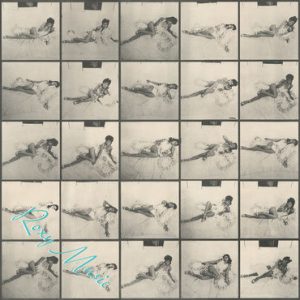 Debut Album Remixes: Vinyl 2LP