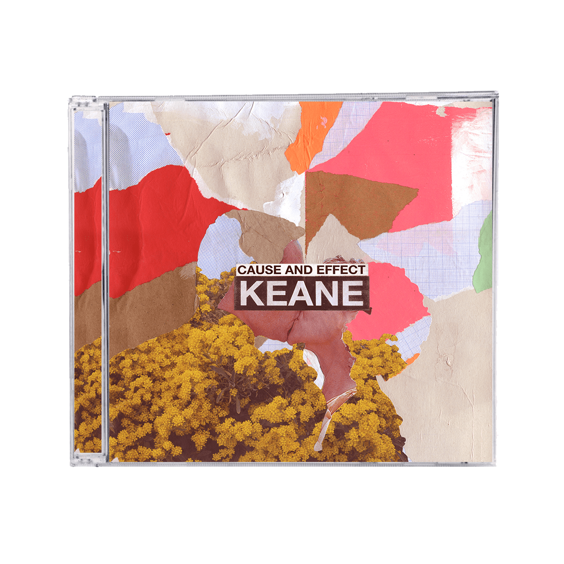 Cause and Effect: Standard CD