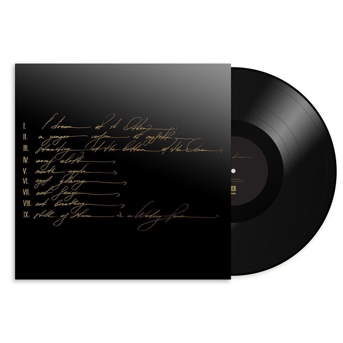 Dreams Are Not Enough: Vinyl LP