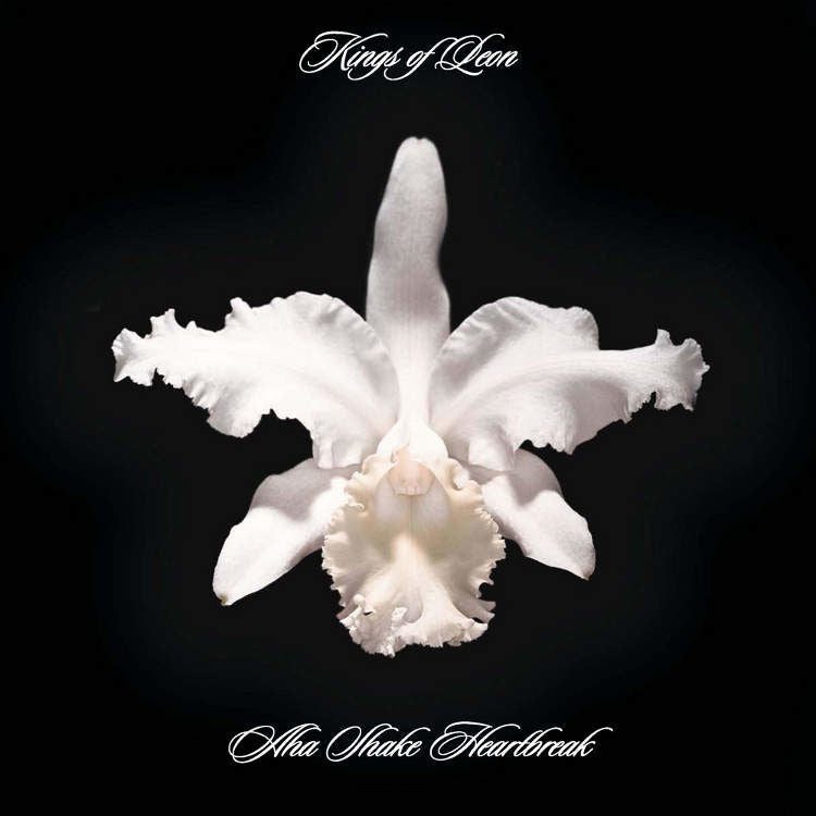 The Collection Box: Limited 5CD + DVD Box Set - Image 4