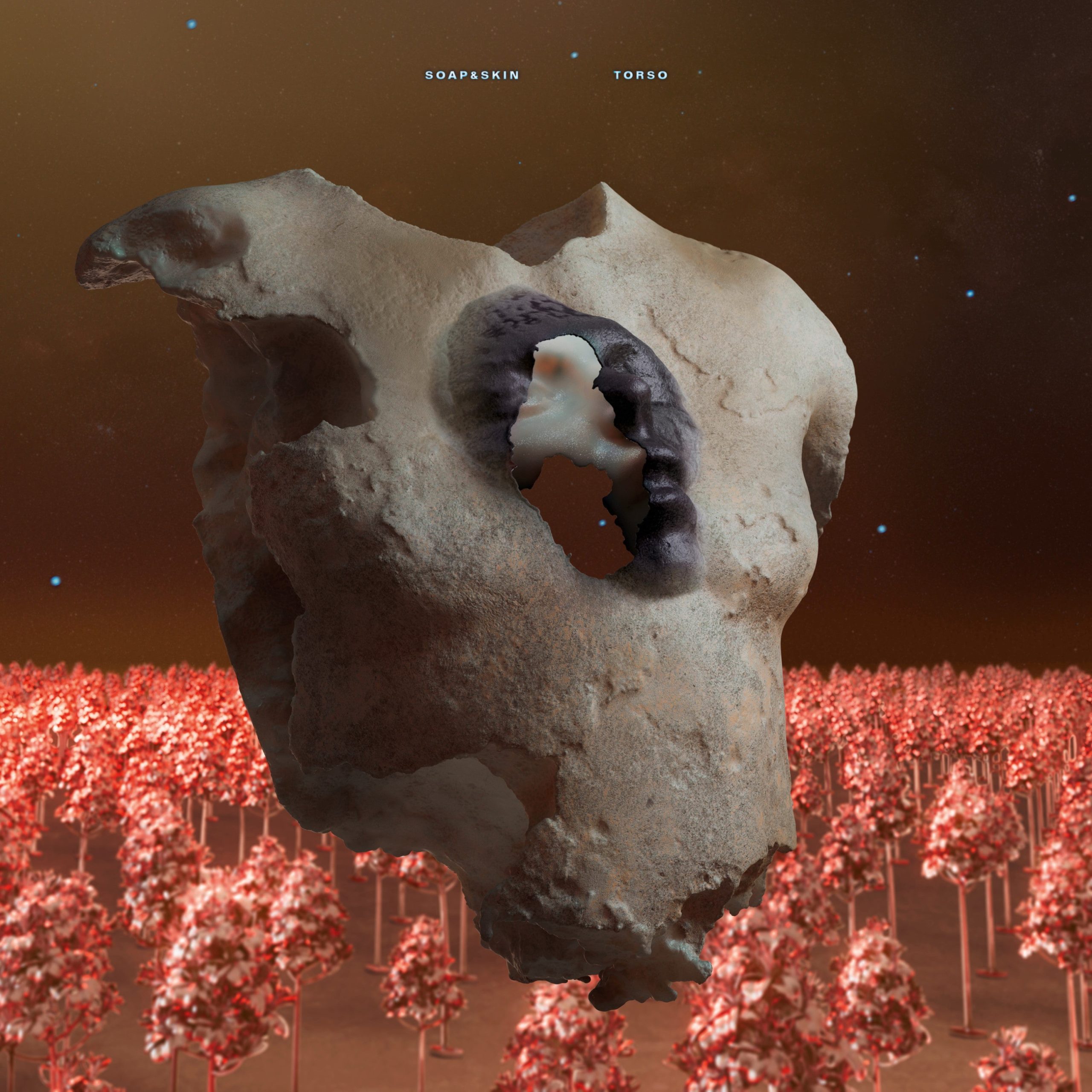 TORSO: Vinyl 2LP - Image 2