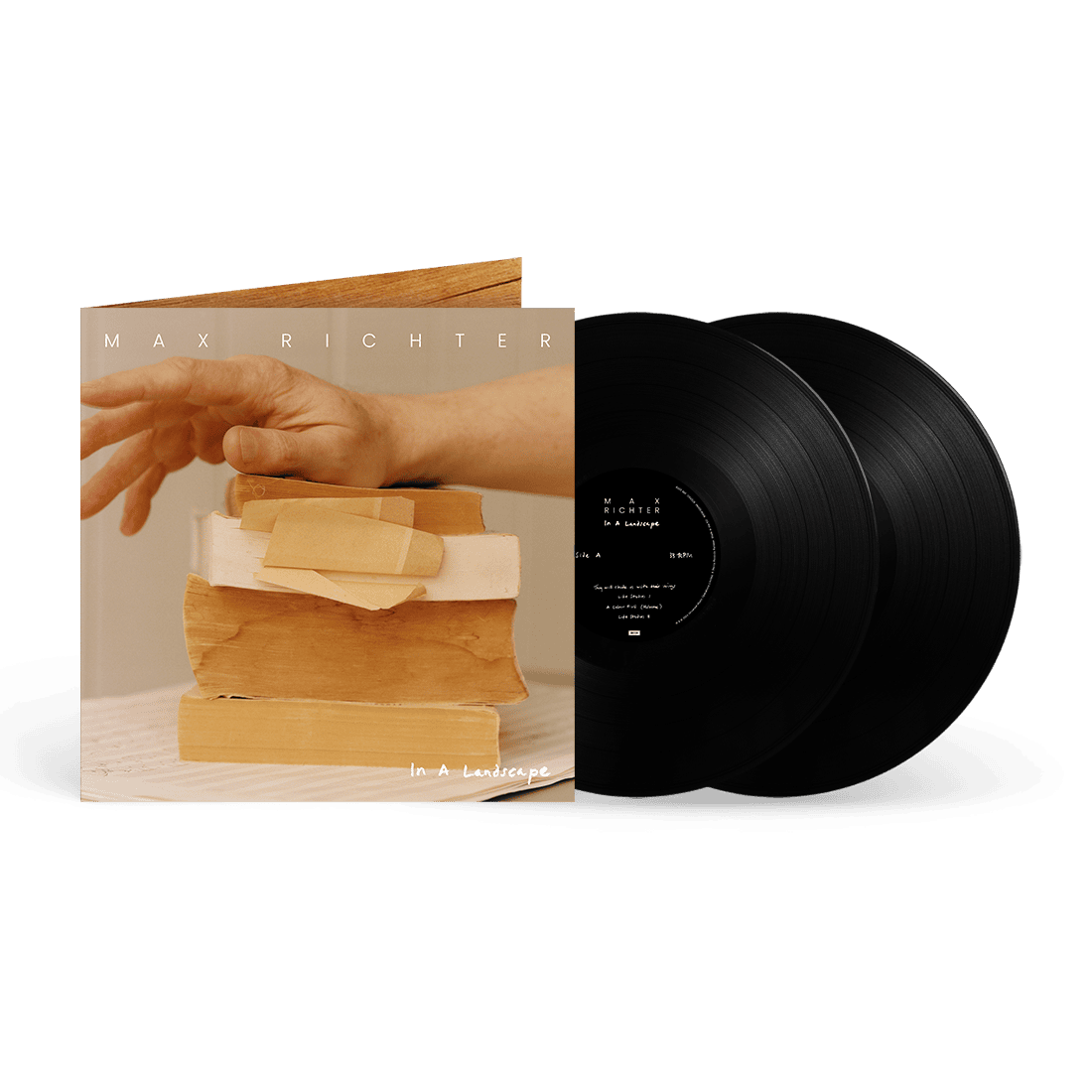 In A Landscape 2LP