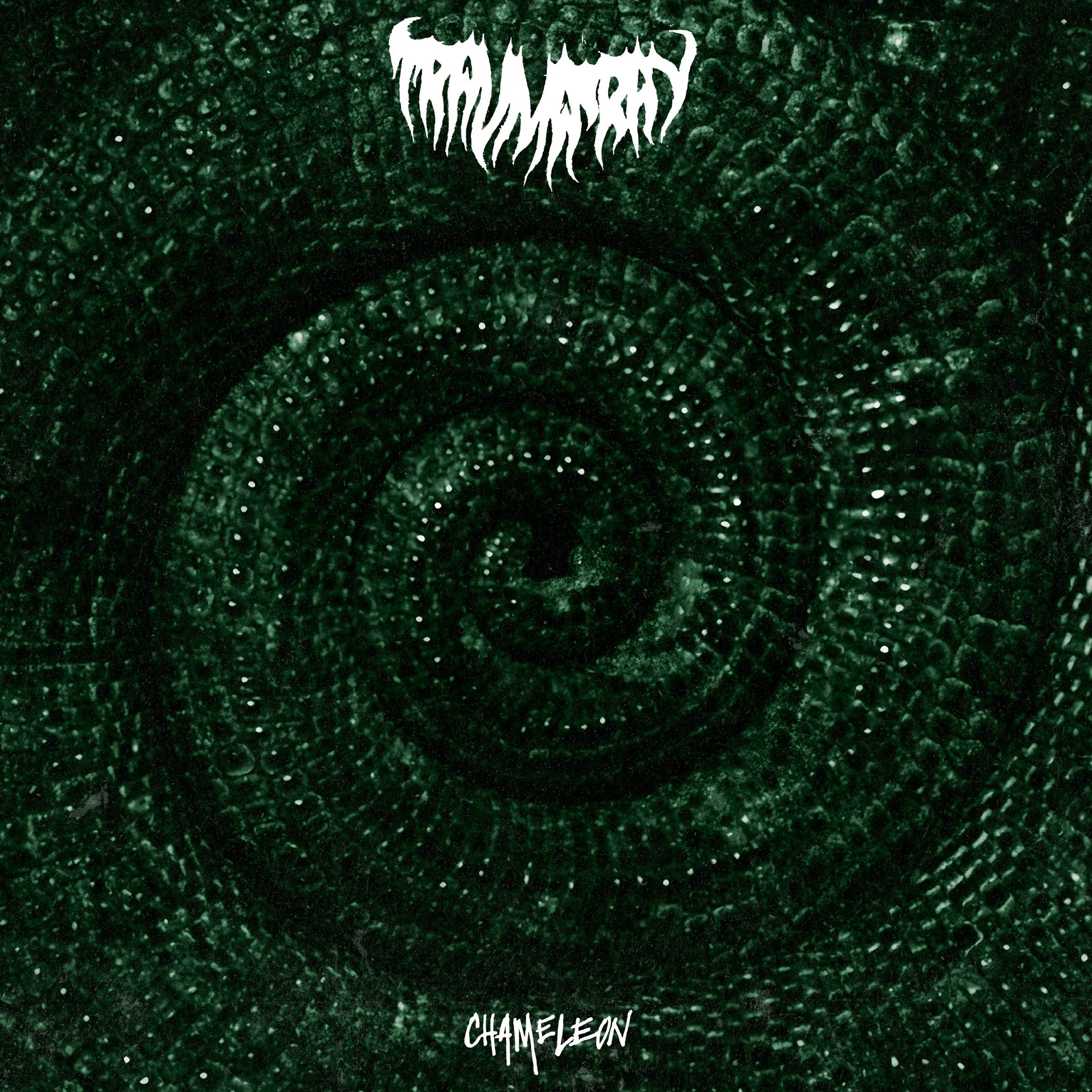 Chameleon: Vinyl LP - Image 2