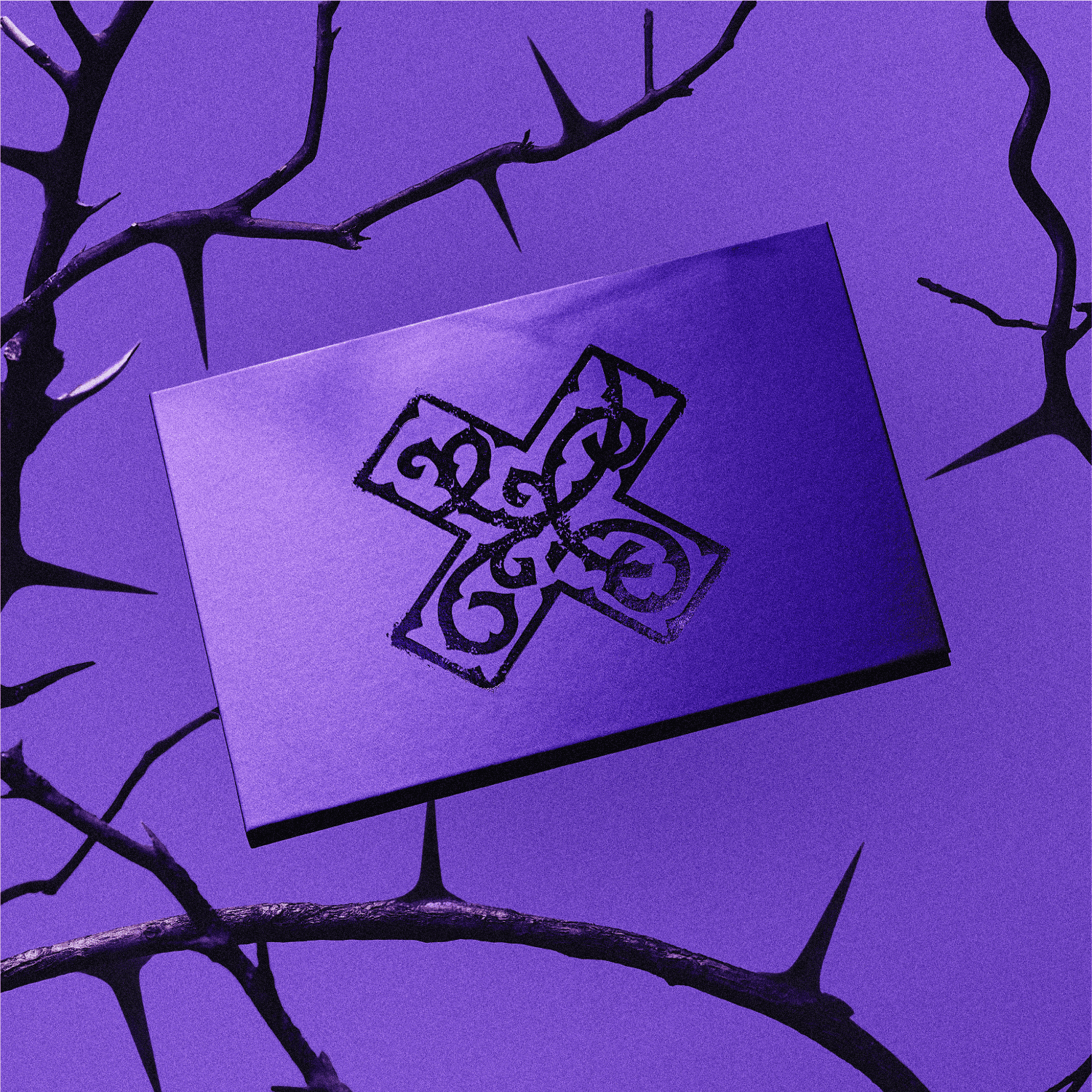 7TH YEAR: A Moment of Stillness in the Thorns (Purple): CD Album