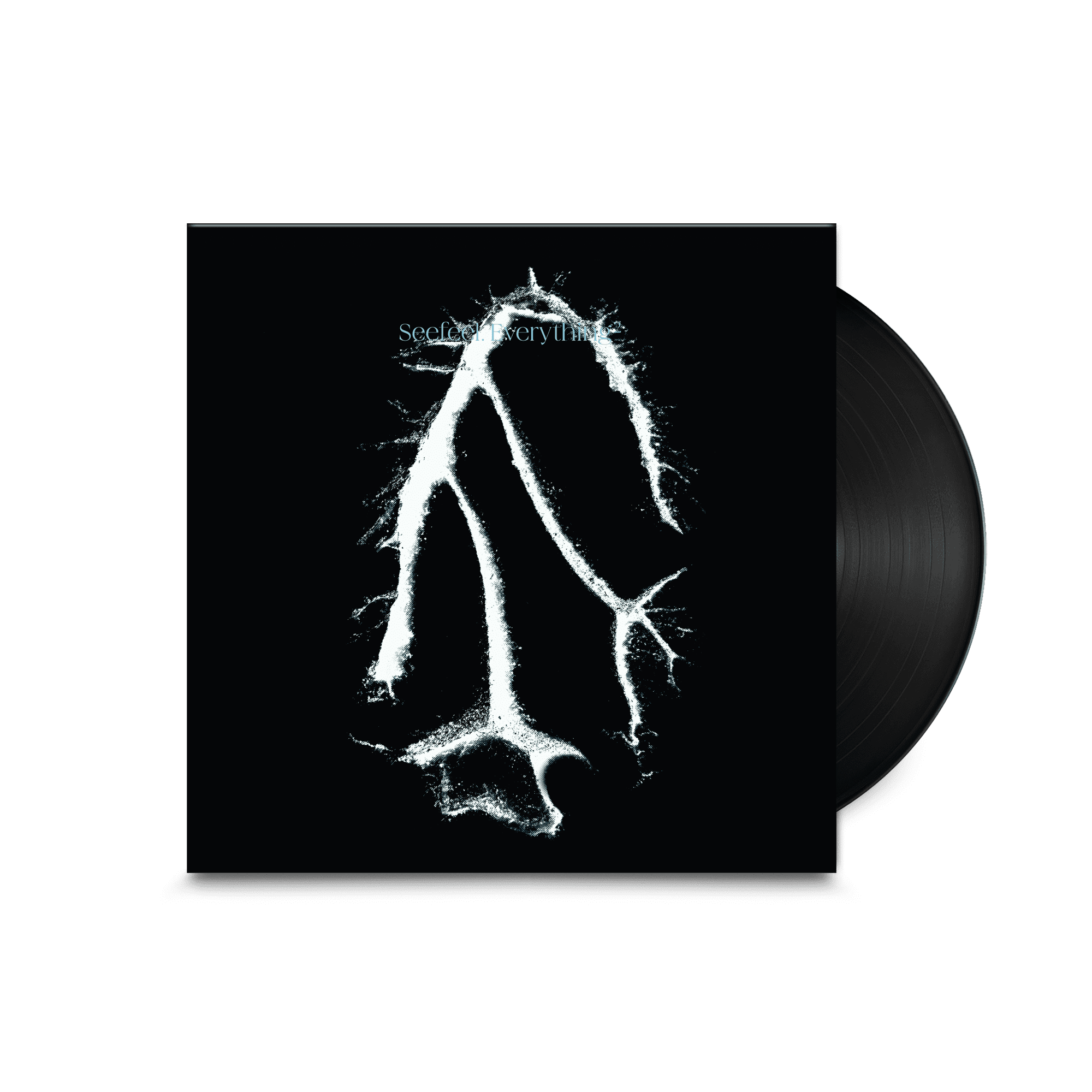 Everything Squared: Vinyl LP