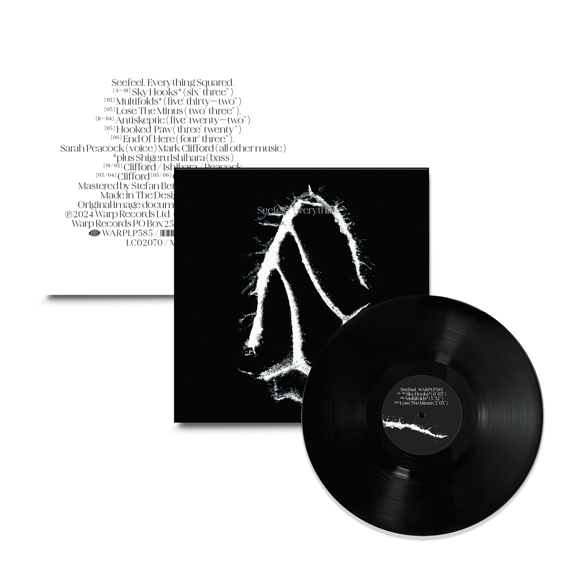 Everything Squared: Vinyl LP - Image 2