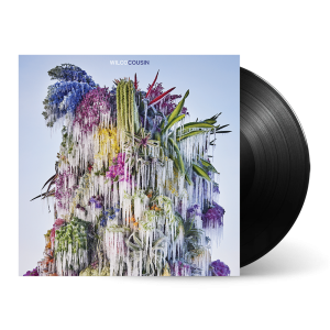 Cousin: Vinyl LP