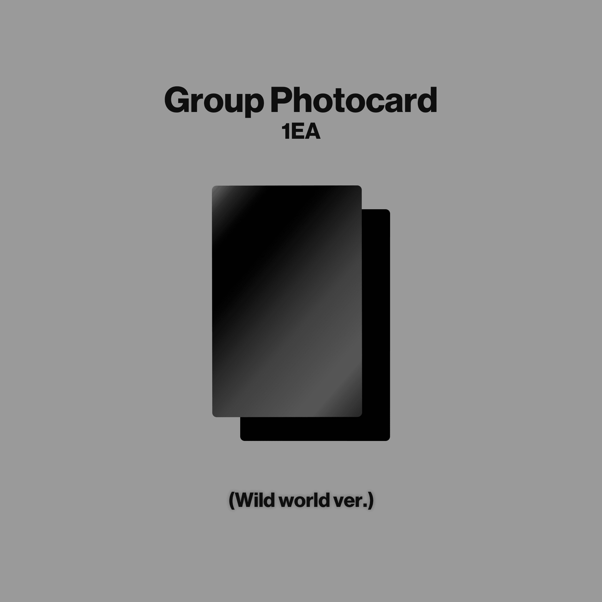 WILD CD (Wild World ver.) - Image 8