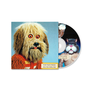 analysis paralysis: CD