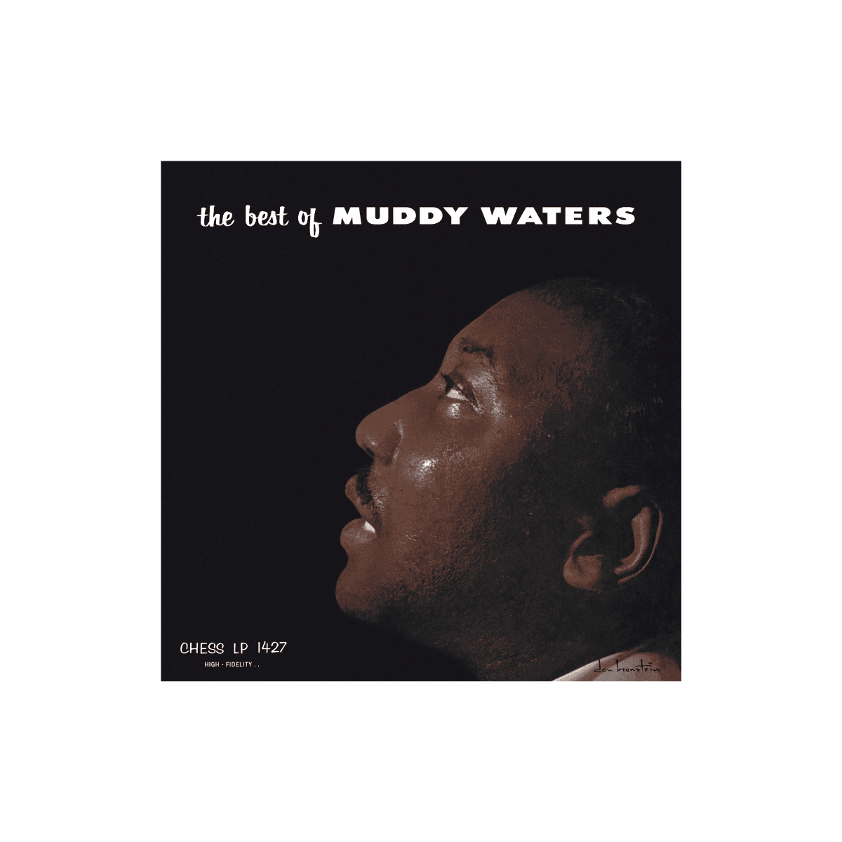The Best of Muddy Waters - Vinyl - Image 2