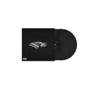 To Pimp A Butterfly 180g Vinyl (10 Year Anniversary Edition) - Alternate Artwork